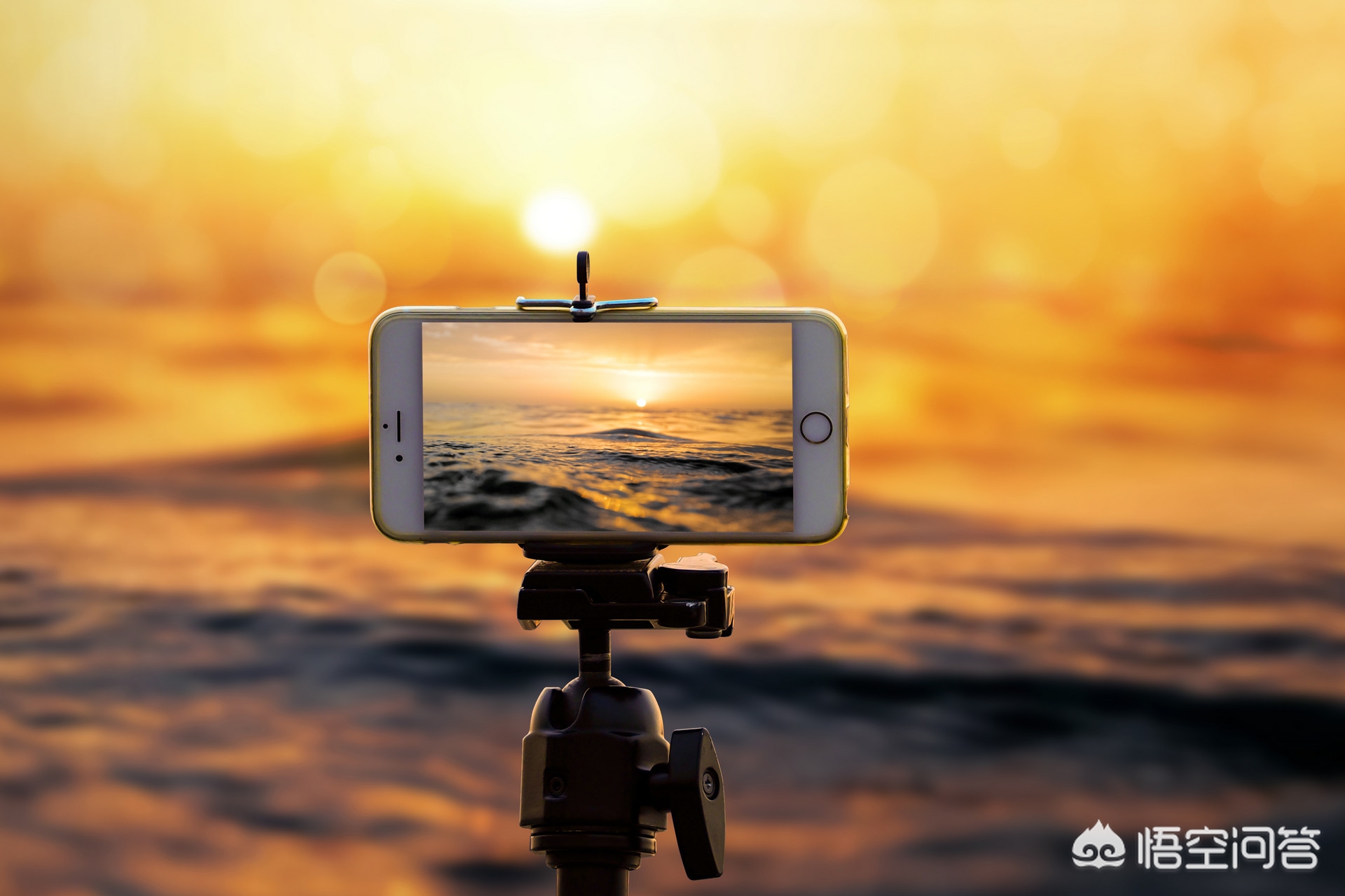 手机拍照模糊不清对焦不了怎么修,手机拍照突然对不了焦