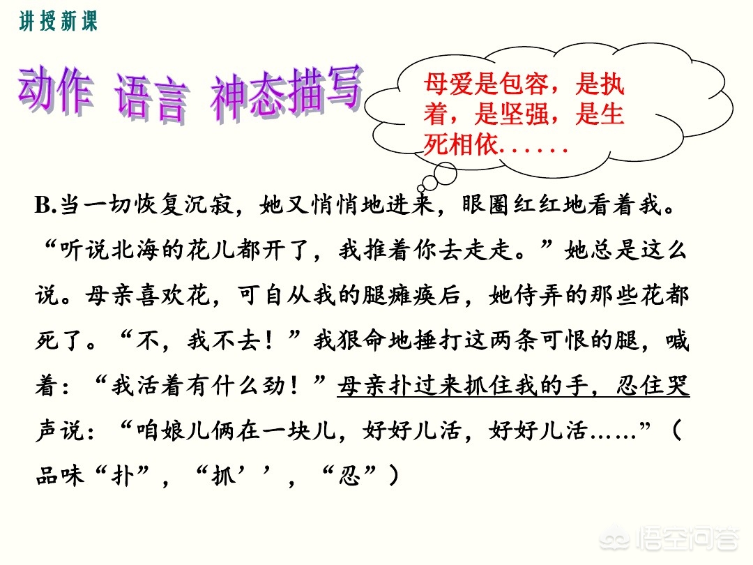 怎样写好作文有什么要求,深度解读如何写好作文