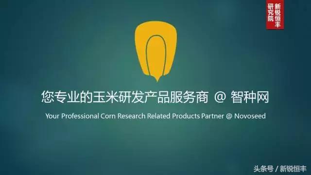 玉米育种的基本思路和方法,玉米育种的正确方法