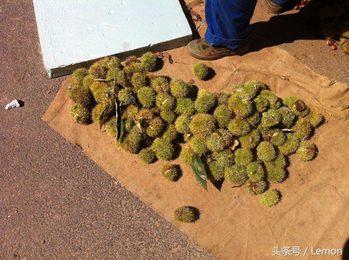 眼力测试120个字,测试你的智商最准的图片