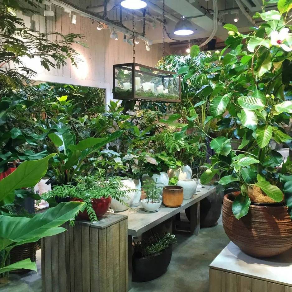 十万步走出的东京花店