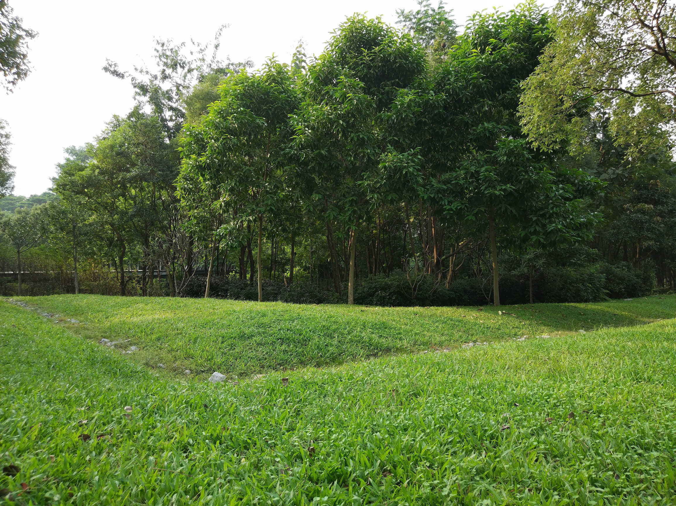 2017年2月的小米note2,小米NOTE2测评