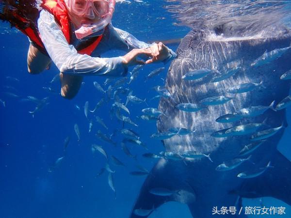 冬天到了,让我们去暖和的东南亚宿雾小岛感受温暖