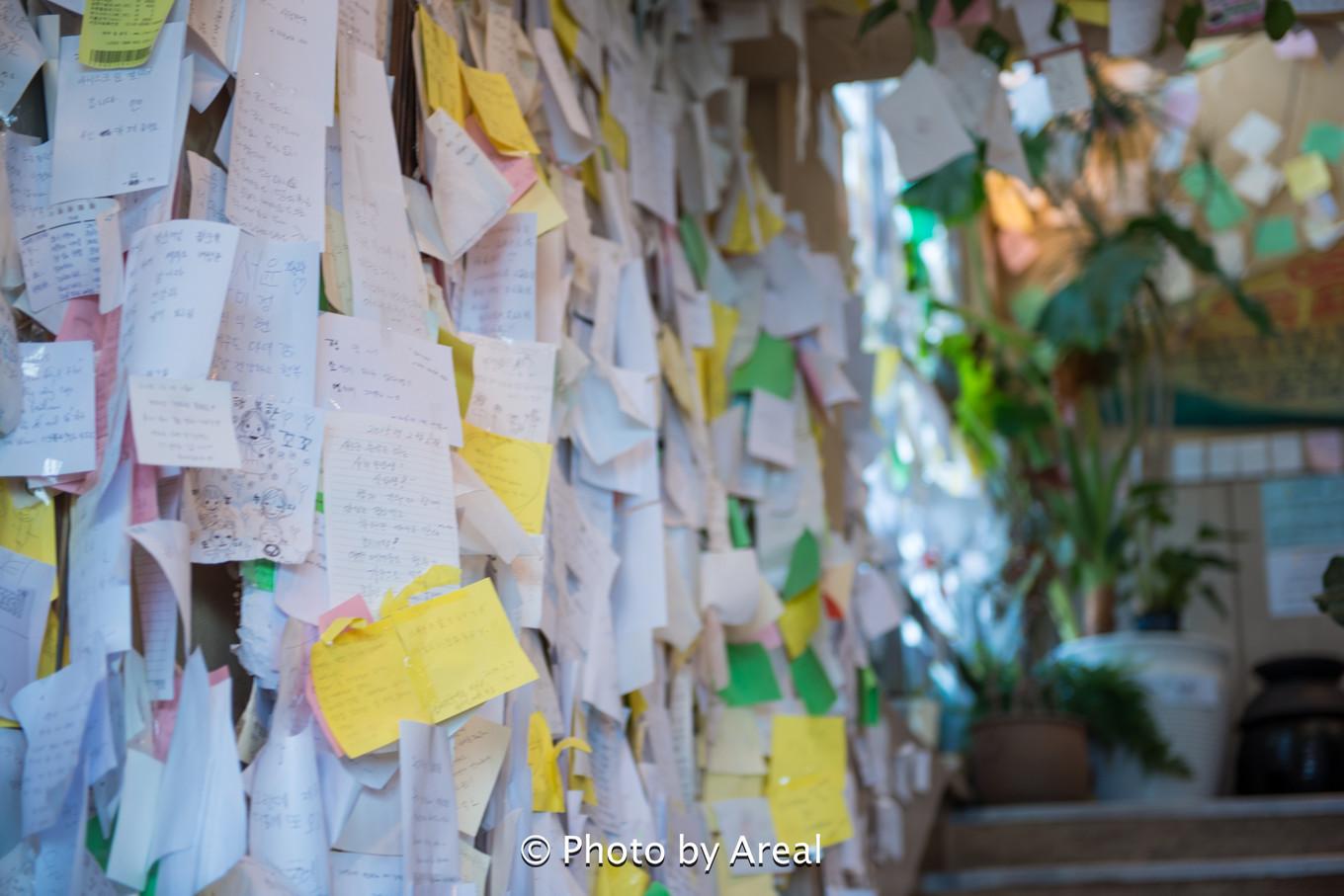 济州岛一日游美食探索,济州岛白天美食攻略