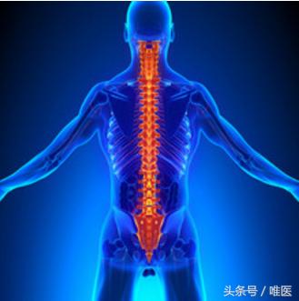 胸椎侧弯筋膜松解的功效与作用,胸椎侧弯松解肌肉视频