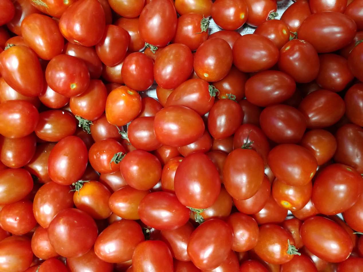 荣耀6x拍照技巧视频,荣耀畅玩6x拍照