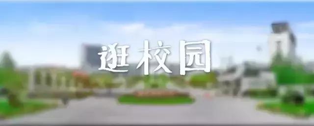 西柚记优惠,西柚记旅游