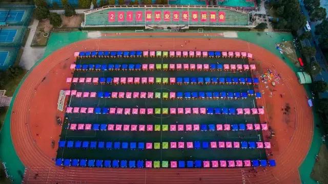 19431份简历，5861份准offer