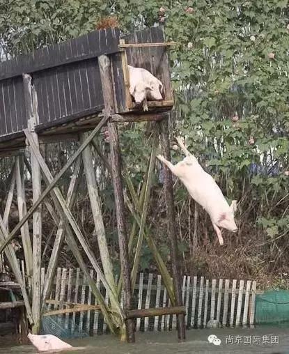 2023年本周内发生的新闻事件,2023年有什么新闻大事件