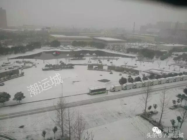 运城雪景有多美,山西省运城市第一场雪