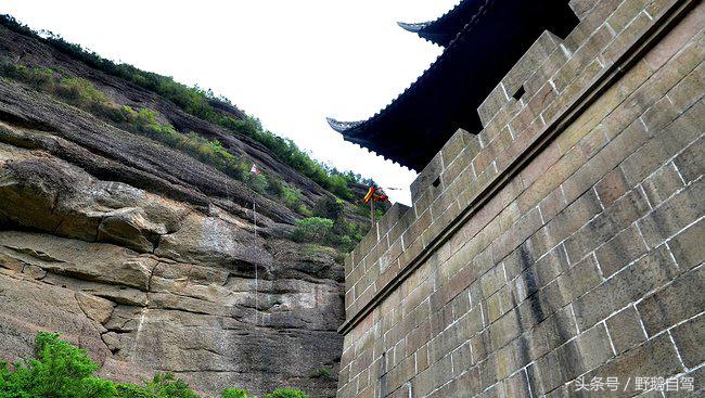 新疆野鹅自驾游视频,野鹅圣诞节自驾游