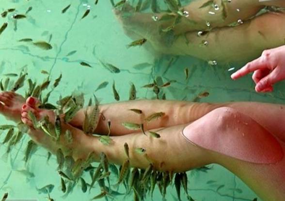 冬日最适合和情侣泡温泉北京,冬季泡温泉旅游攻略