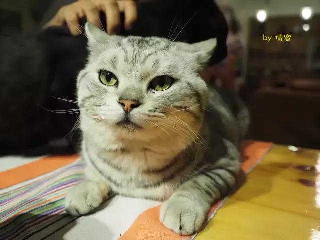 威海荣成海上时光,威海悠闲旅游