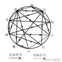 无土栽培营养液成分图,无土栽培营养液利用