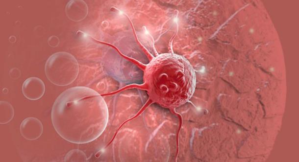 为什么身体内脏会有肿瘤,为什么身体会两个部位长恶性肿瘤