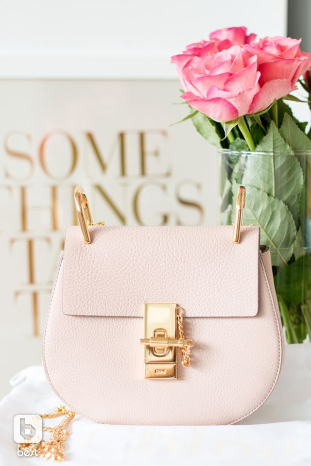 一款好看又气质的包包推荐给大家,粉色包包推荐小众高级感轻奢