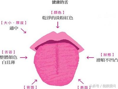 鼓胀舌和胖大舌的区别,胖大舌的鉴别方法