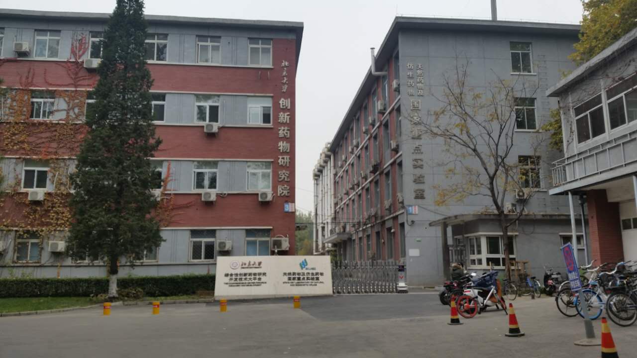 走进北师大,走进京师校园