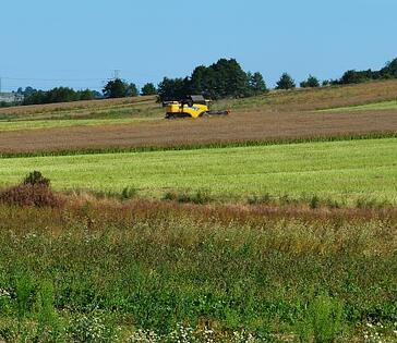种植专业合作社国家怎么补贴,农业合作社种粮食补贴政策