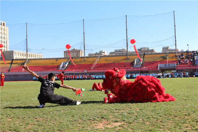民族运动会舞狮,舞狮运动会服装