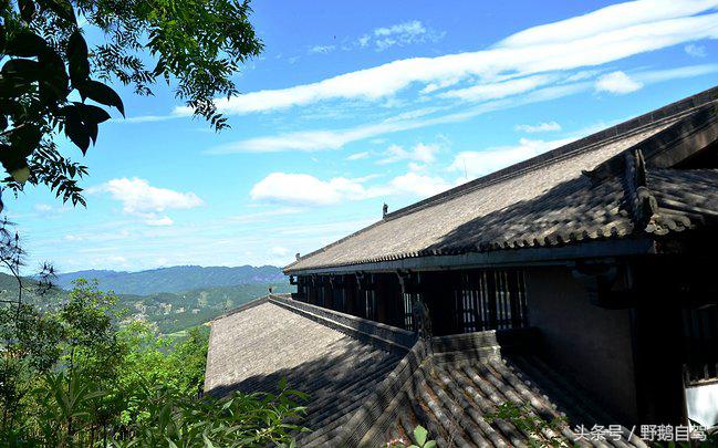 新疆野鹅自驾游视频,野鹅圣诞节自驾游