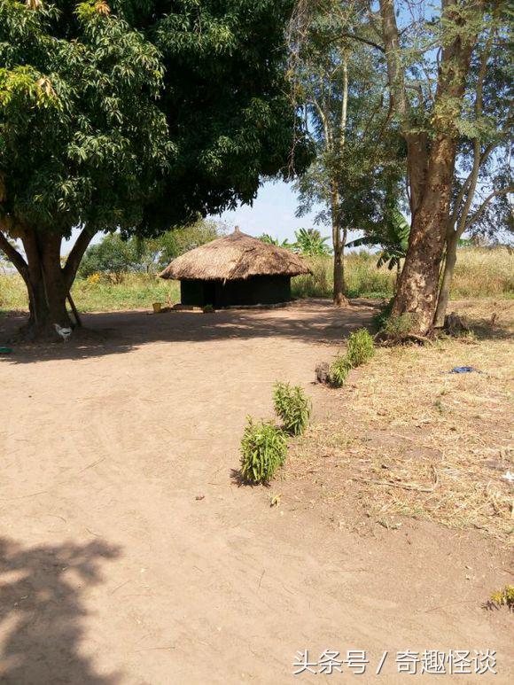 我在非洲工作的日子，给大家介绍下非洲的风土人情