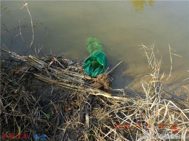窝料大河野钓推荐,再钓东河水库