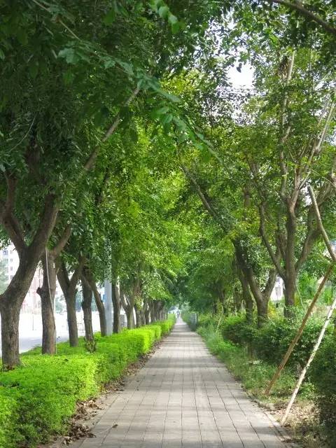 大亚湾变化,大亚湾翻天覆地的变化