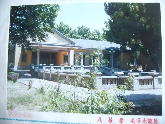 有哪些关于郑州的冷知识,郑州冷知识100个