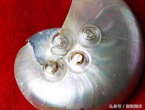 硬的黄金隐形眼镜,真黄金眼镜