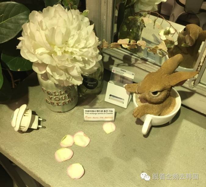 少女心大爆炸!首尔弘大这家Café好看得一塌糊涂