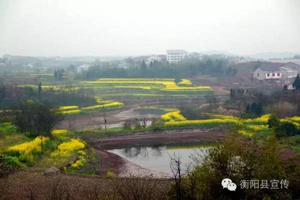 衡阳各县历史简介,衡阳各乡镇地名来历