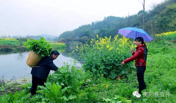 衡阳各县历史简介,衡阳各乡镇地名来历