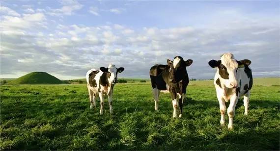 把自己当小孩来照顾,把自己当成宝宝一样