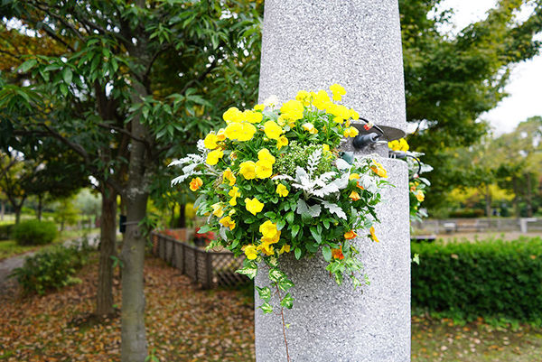 索尼fe24mmf2.8二手,索尼正式发布fe24-70mmf2