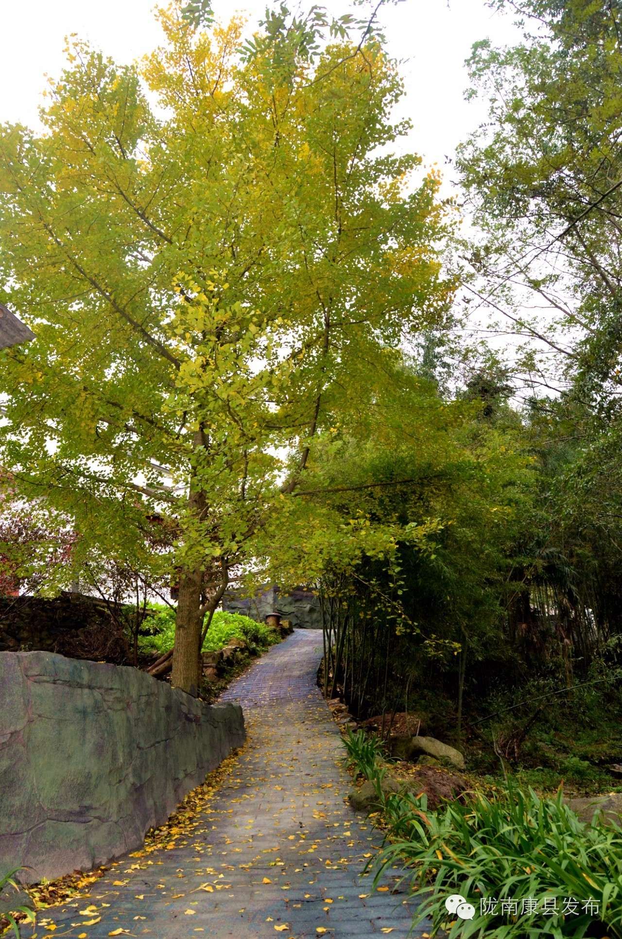 阳坝:遗落在时光深处的慢生活