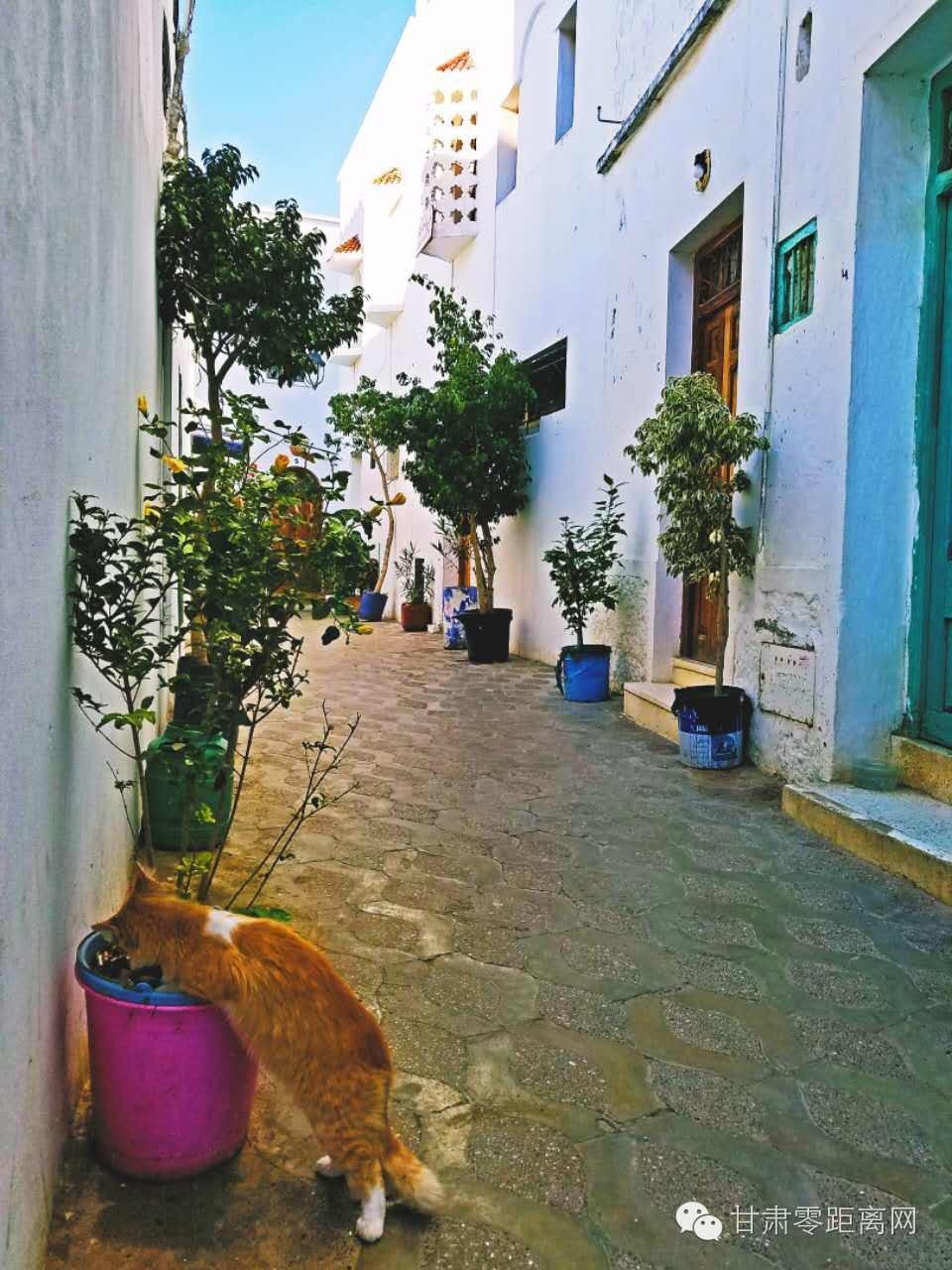 随丫头游北非之十一|童话古城-艾西拉麦地那摩洛哥首都-拉巴特