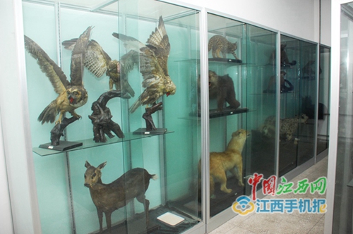 九江金安高级中学校园文化建设上档次显品味