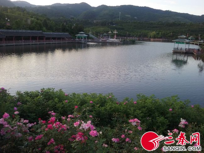 西乡县发展规划,西乡有哪些发展