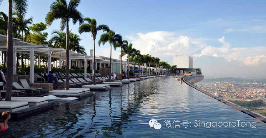 萝卜评价世界杯,萝卜评价丁俊晖