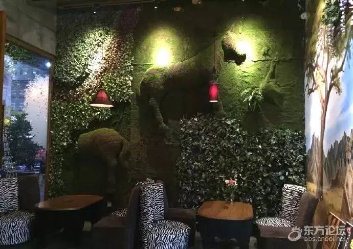 宁波环境最好的咖啡馆,宁波天使咖啡馆