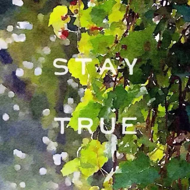 最惊艳的拍照app,十大照片特效软件app