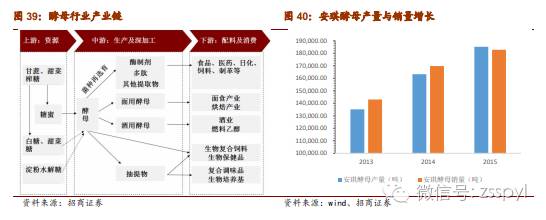 2021年食品饮料行业股票投资分析,招商证券对2019年经济的分析