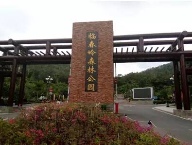 「头条」大咖在三亚实地走访、体验、调研的七条路线，都在这了！