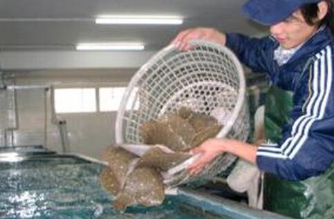 正午微播丨11月25日丨大连瓦房店竟坐拥80吨高品质钻石