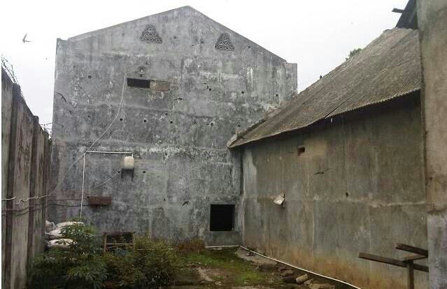 燕窝燕子能产那么多窝吗,燕窝是人造的还是真正燕子的窝