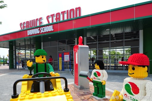 乐高积木成人款植物多肉,小玩具乐高