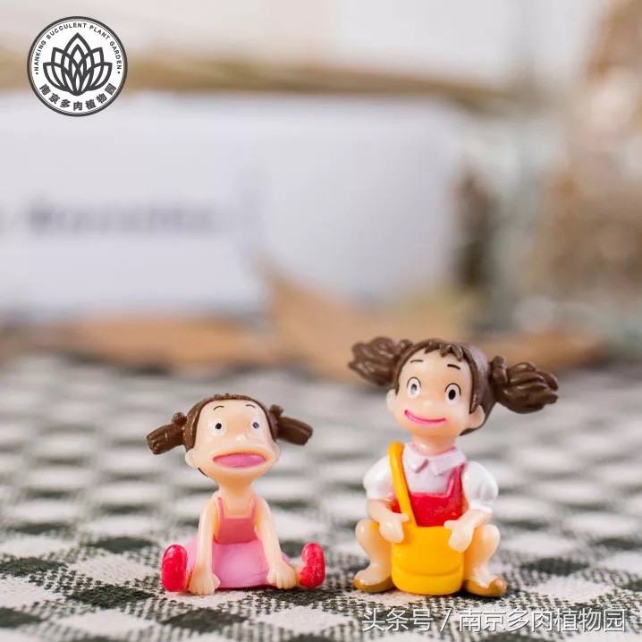 乐高积木成人款植物多肉,小玩具乐高