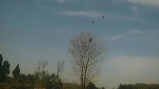 青春作伴好还乡出自哪首诗,青春作伴好还乡全文