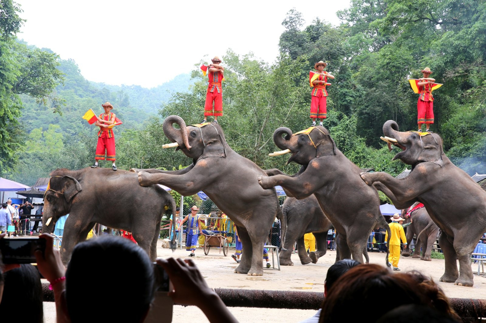 感恩节最暖心的礼物,感恩节收到的最好的礼物